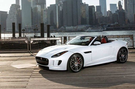 Jaguar undefined image