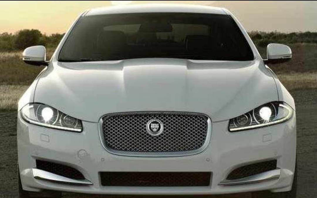 Jaguar undefined image