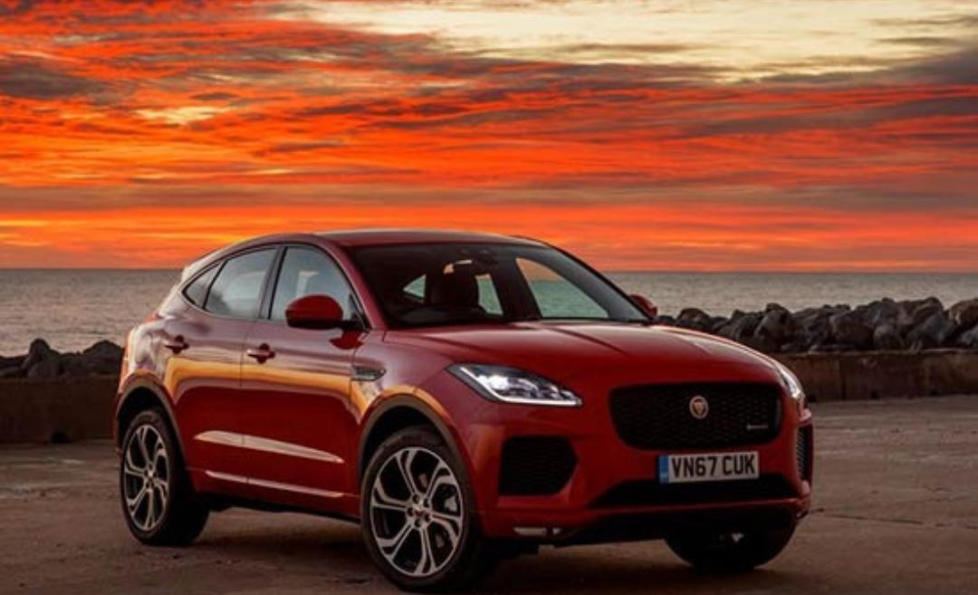 Jaguar undefined image