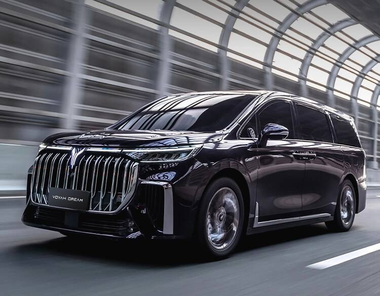 Dongfeng undefined image