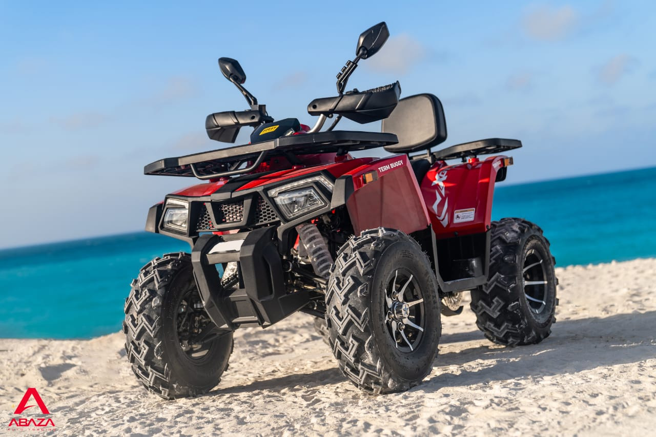 Beach buggy TERM image